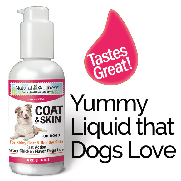 Dog Coat Supplement Coat & Skin For Dogs Natural Wellness