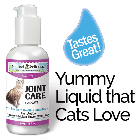 Cat Joint Supplement Joint Care For Cats Natural Wellness