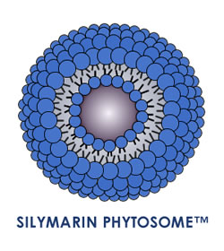 Silymarin Phytosome Superior Liver Protection